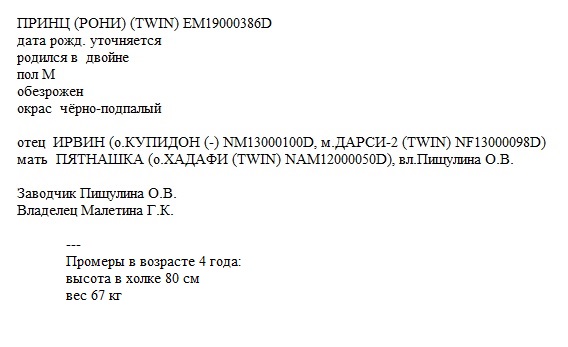 Принц анк Maletina