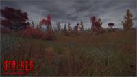 S.T.A.L.K.E.R. Cold Autumn