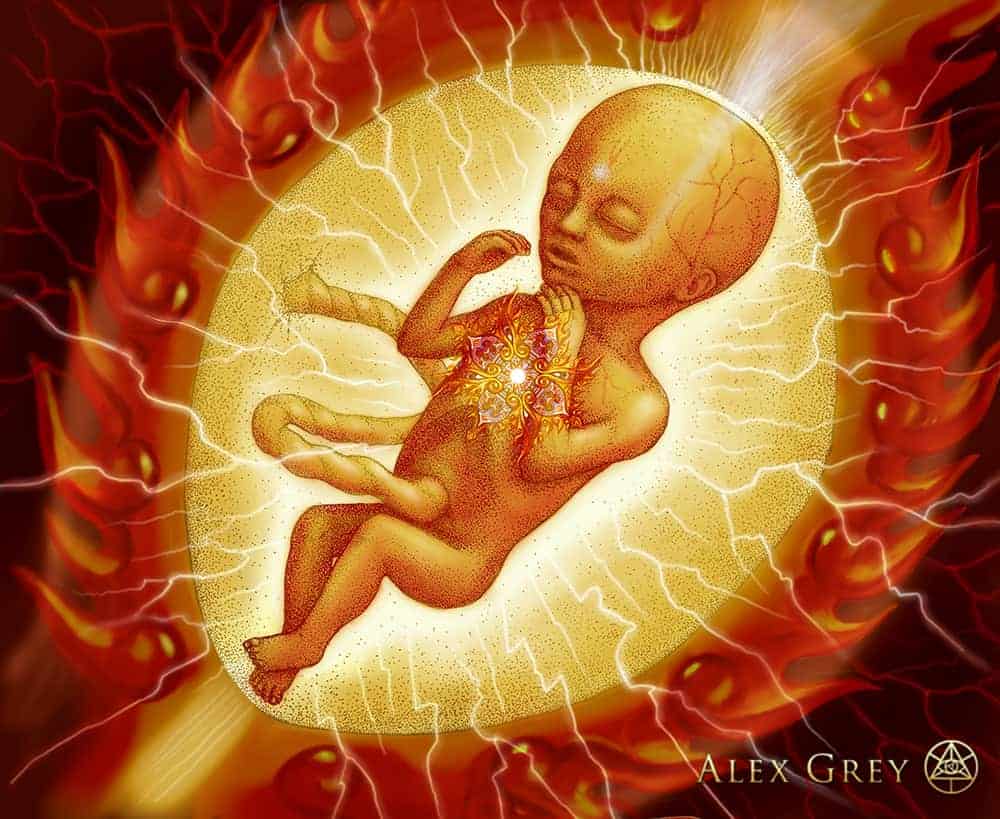 Embryo-by-Alex-Grey