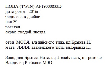 Нова анк Mashinka