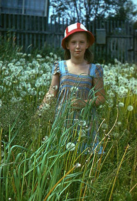 img086 img086