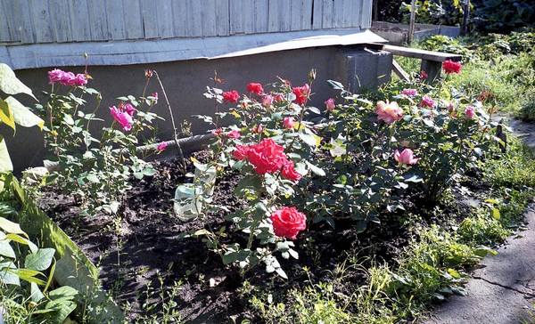 img084 img084