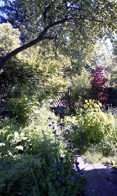 img175 img175