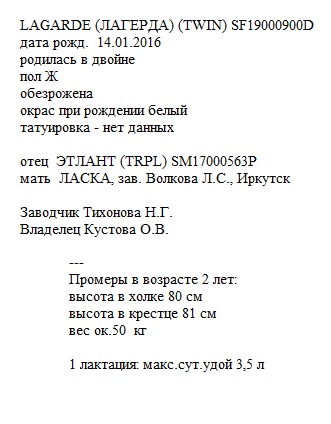 Лагерда анк Бонанза