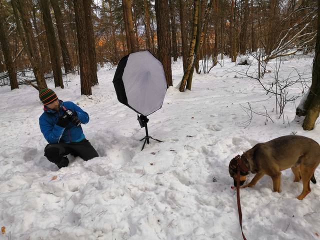 VFL.RU - ваш фотохостинг