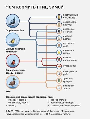 Загородная жизнь - обустройство жизни на своей земле во всем ее разнообразии