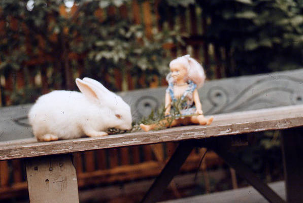 img830 img830
