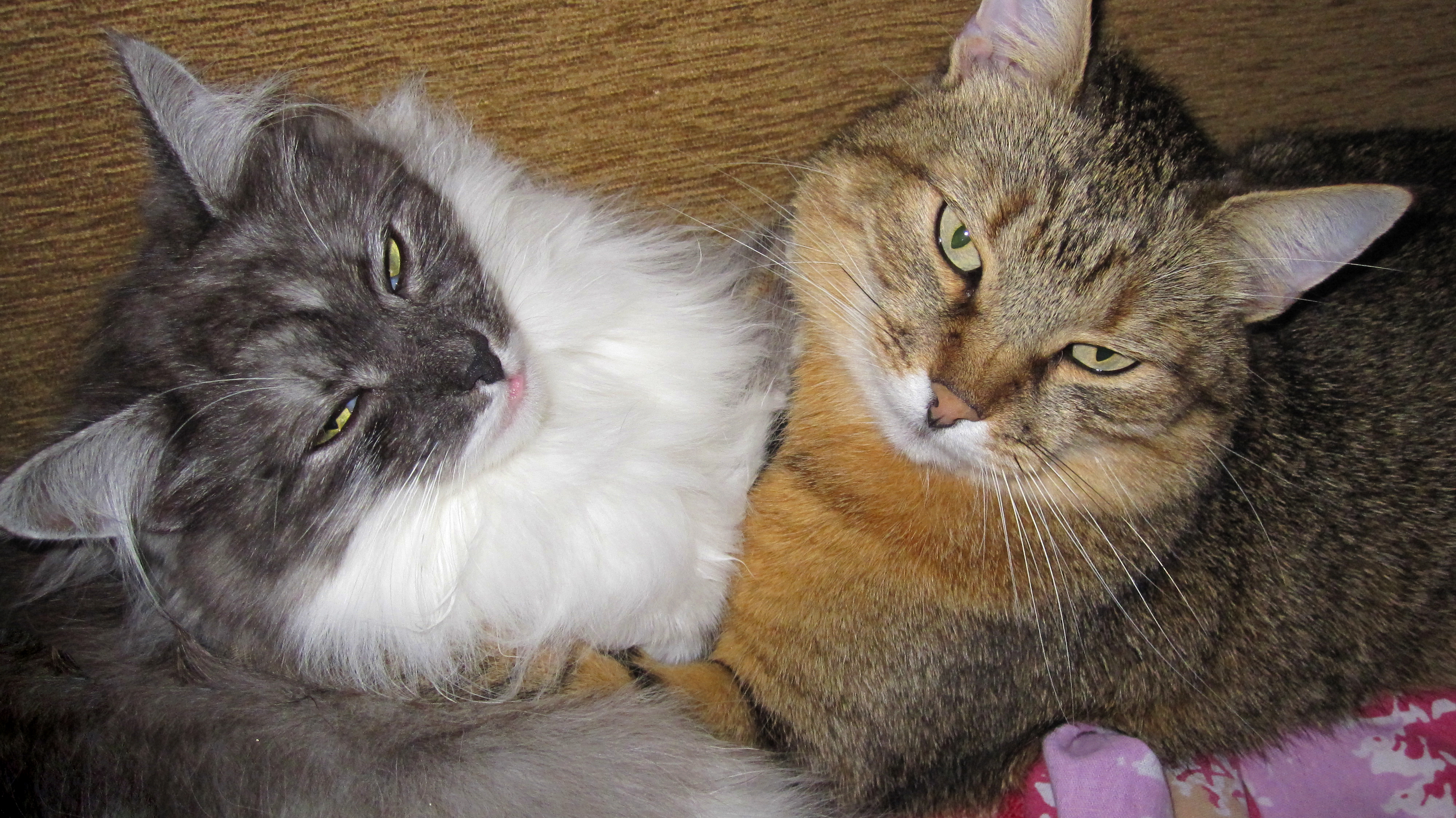 Маруся и Матильда в обнимку