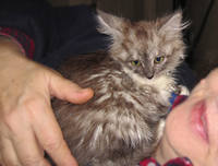 Матильда на груди