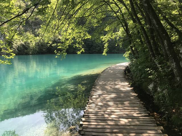 Публикувано изображение