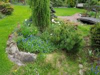 VFL.RU - ваш фотохостинг