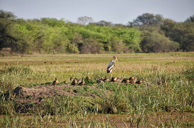 VFL.RU - ��� �����������