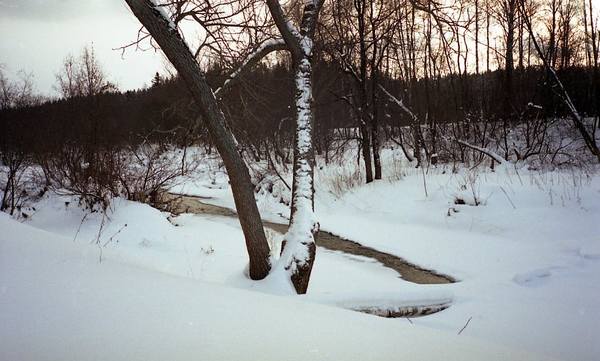 img300 img300