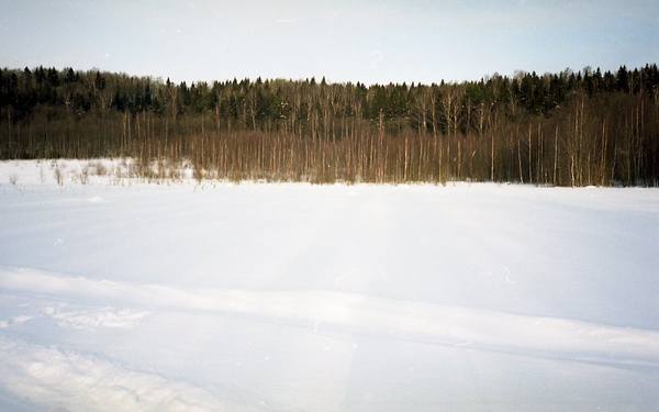 img303 img303