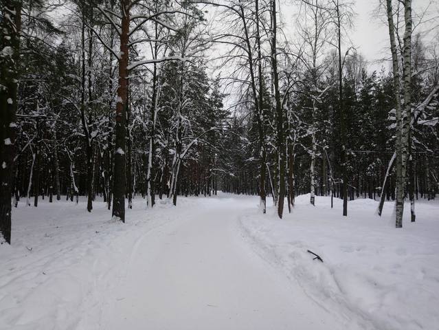 Беседка, февраль 25205067_m