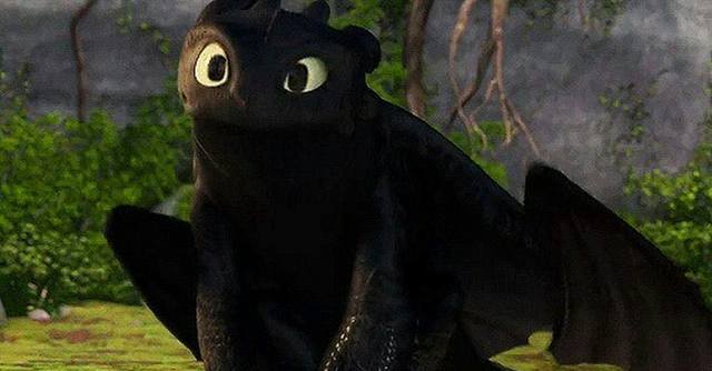 Кошки в нашей жизни. Кошки и все, что с ними связано.