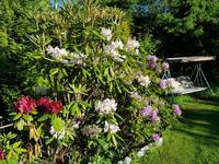 VFL.RU - ваш фотохостинг