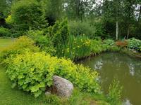 VFL.RU - ваш фотохостинг