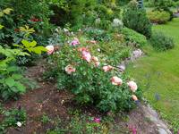 VFL.RU - ваш фотохостинг