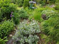 VFL.RU - ваш фотохостинг