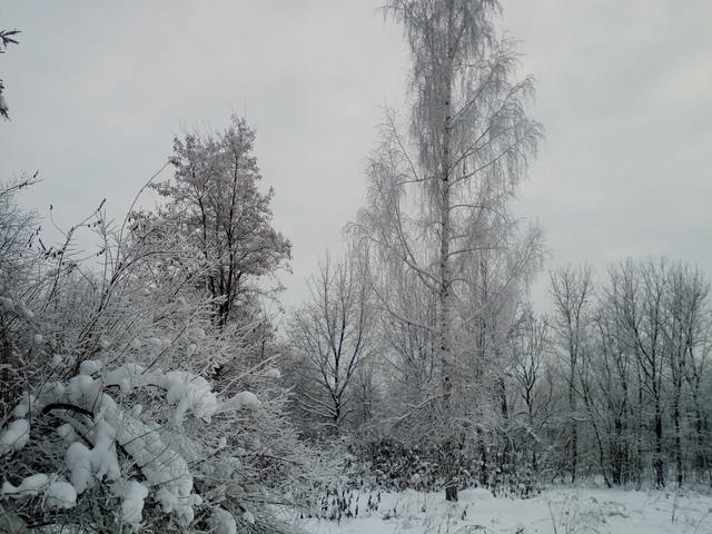 VFL.RU - ваш фотохостинг VFL.RU - ваш фотохостинг