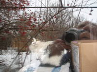 VFL.RU - ваш фотохостинг