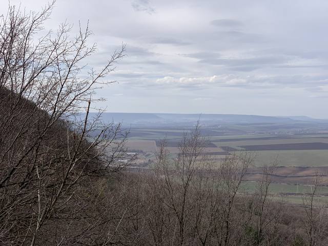 Публикувано изображение