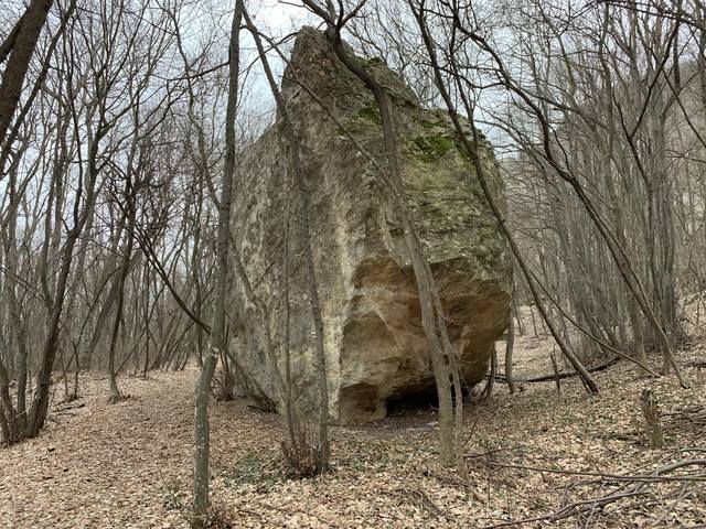 Публикувано изображение