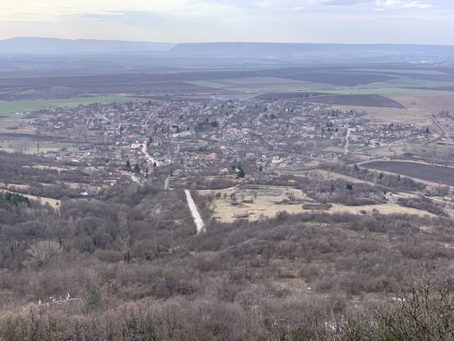 Публикувано изображение