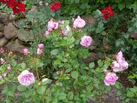 VFL.RU - ваш фотохостинг