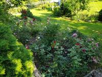 VFL.RU - ваш фотохостинг