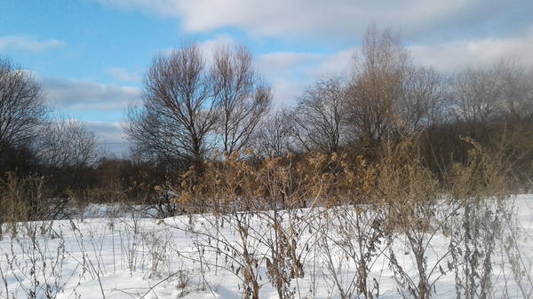VFL.RU - ваш фотохостинг VFL.RU - ваш фотохостинг