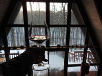 VFL.RU - ваш фотохостинг