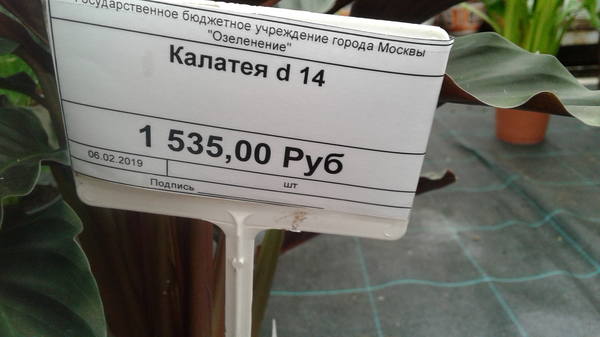VFL.RU - ваш фотохостинг VFL.RU - ваш фотохостинг