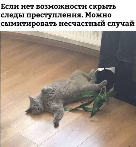 25338982_m.jpg