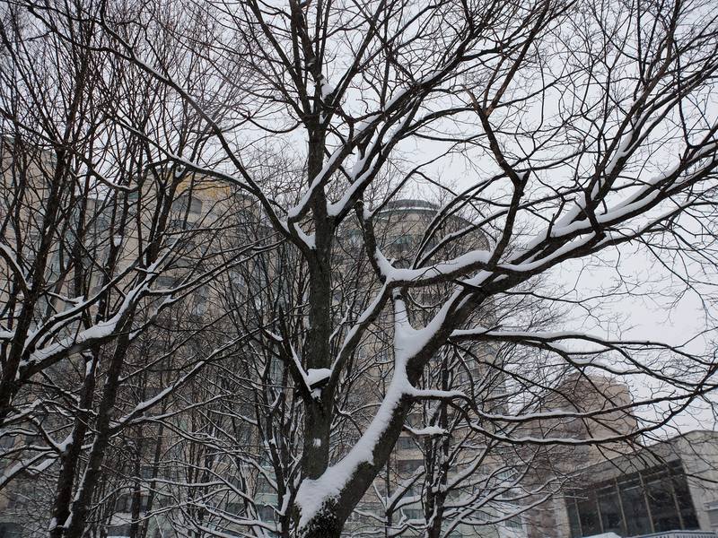 VFL.RU - ваш фотохостинг VFL.RU - ваш фотохостинг
