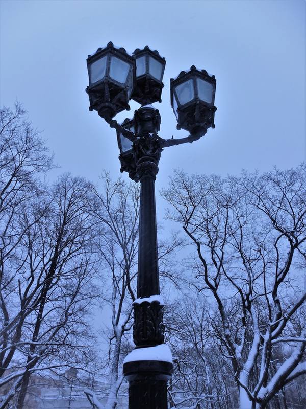 Зимний Петербург Зимний Петербург