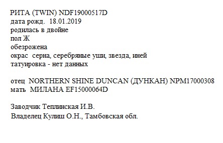 Рита анк Irateplay