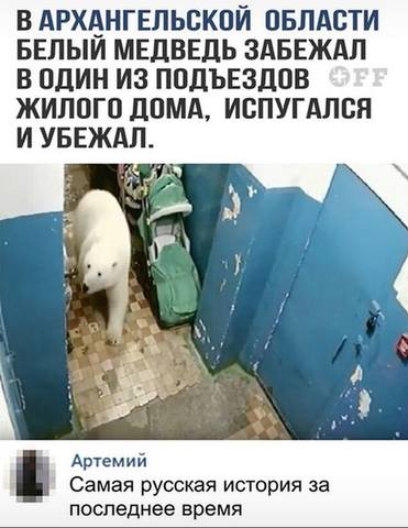 25379651_m.jpg