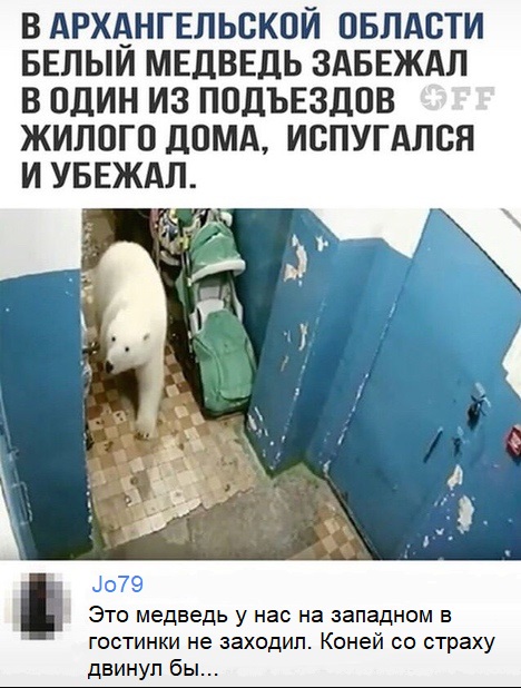 25384331.jpg