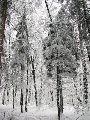 VFL.RU - ваш фотохостинг VFL.RU - ваш фотохостинг