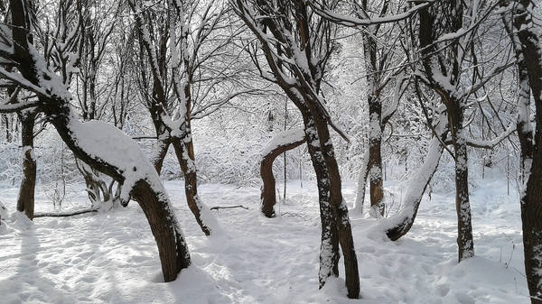 VFL.RU - ваш фотохостинг VFL.RU - ваш фотохостинг