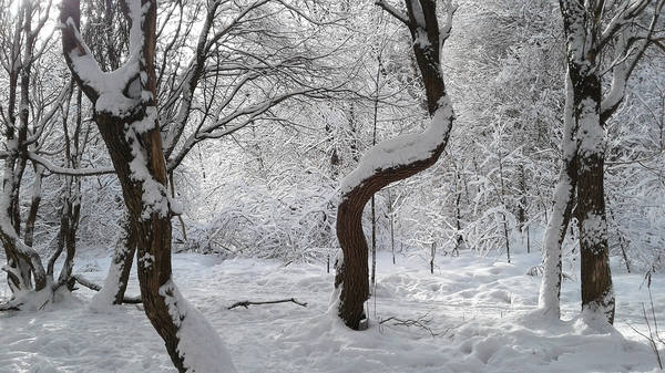 VFL.RU - ваш фотохостинг VFL.RU - ваш фотохостинг