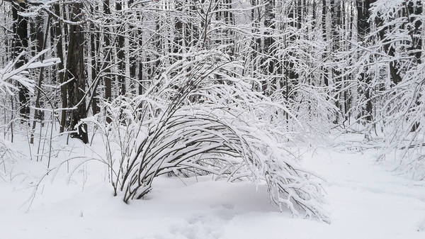VFL.RU - ваш фотохостинг VFL.RU - ваш фотохостинг