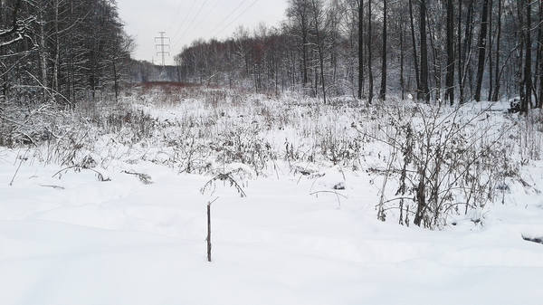 VFL.RU - ваш фотохостинг VFL.RU - ваш фотохостинг