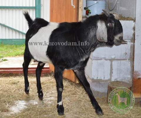 Красуля отец Марина Третьякова