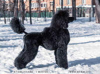 2019-02-16, 13.42.57, 29