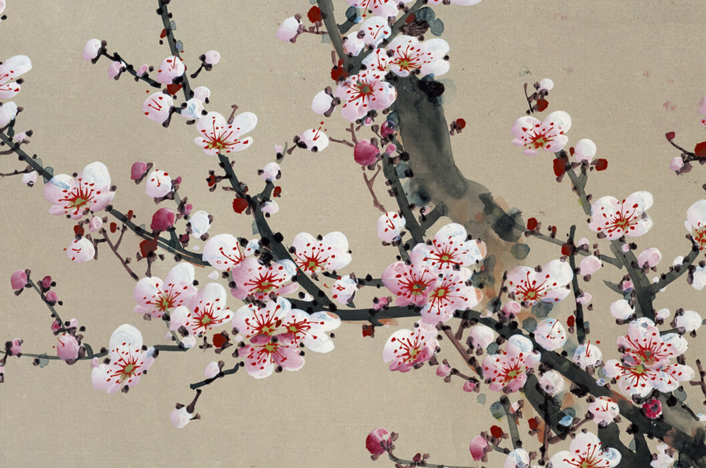 peinture-chinoise-fleur-cerisier