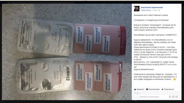 Кто сказал "Мяу"?