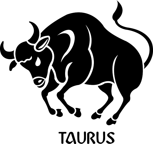Taurus (21)